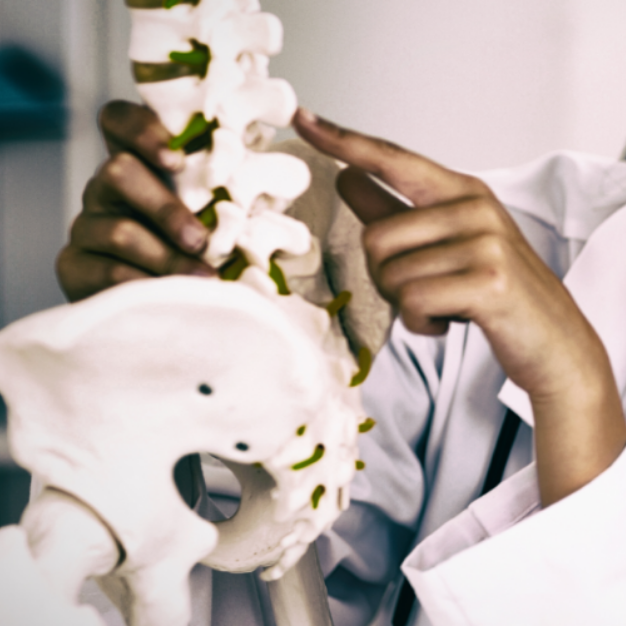 Chiropractic Care at InSync Wellness